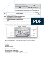 Evaluación Unidad 4 Ciencias Naturales 4to