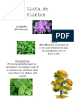 Herbolaria (Plantas Medicinales Lista)