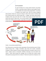 Penyebaran Penyakit Filariasis