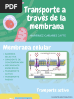 Transporte A Través de La Membrana