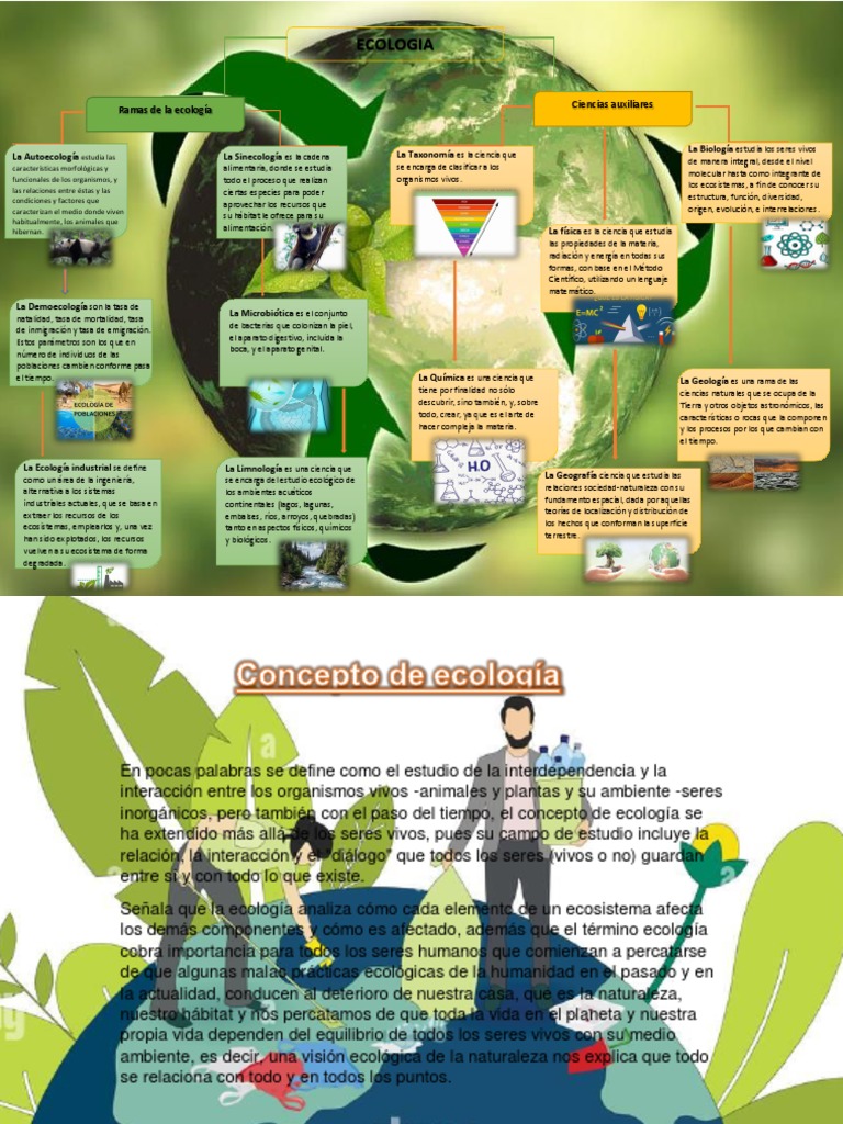 Mapa Conceptual y Act. Pag. 16 | PDF | Ecología | Ecosistema
