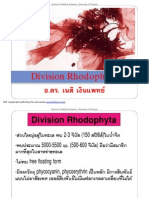 Division Rhodophyta