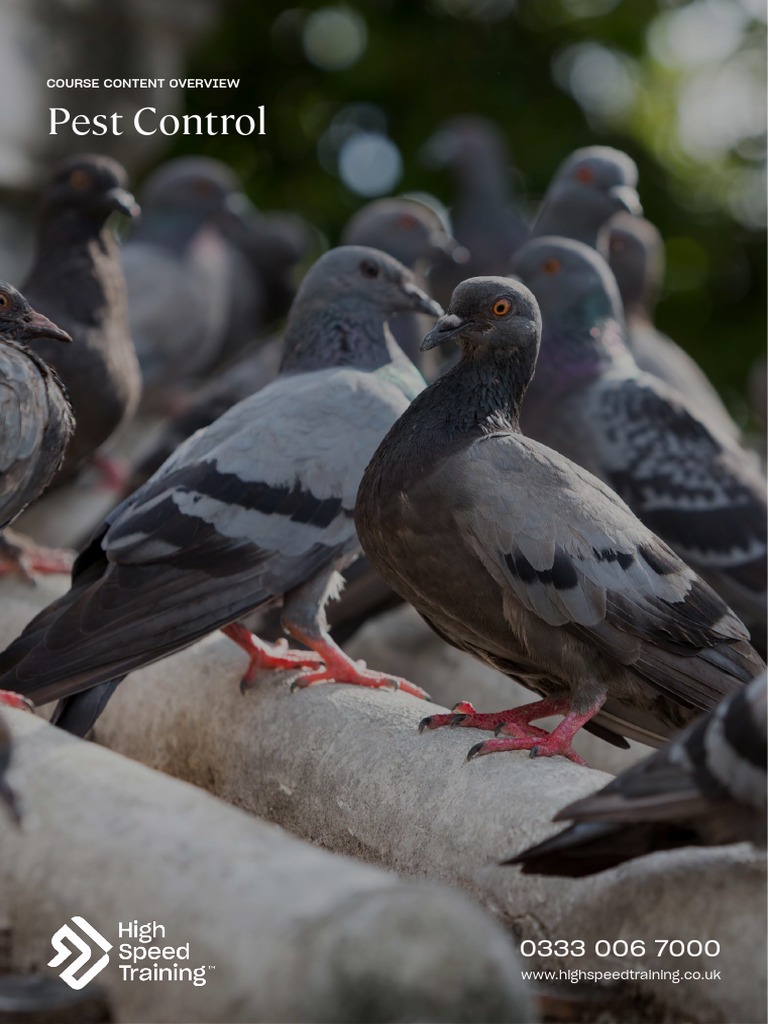 Pest Control Course Content Overview PDF Pest Pest Control