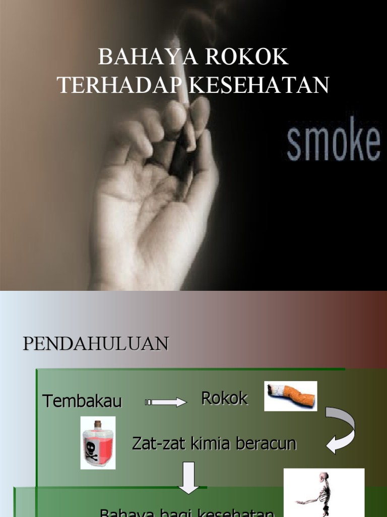Bahaya Rokok | PDF