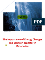 ENERGY CHANGES AND ELECTRON TRANSFER DRIVE METABOLISM