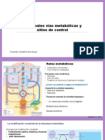 Presentacion de Principales Rutas Metabolicas y Sitios de Control 1