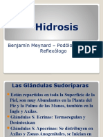 Hidrosis: Benjamín Meynard - Podólogo Clínico y Reflexólogo