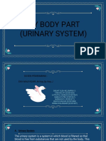 My Body Part (Urinary System)