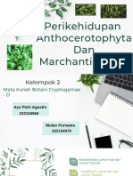 Perikehidupan Anthocerotophyta Dan Marchantiophyta