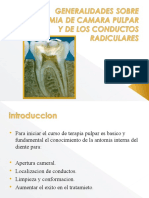 Generalidades Sobre Anatomia de Camara Pulpar y de Conductos2021-2