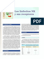 Los receptores de los linfocitos NK