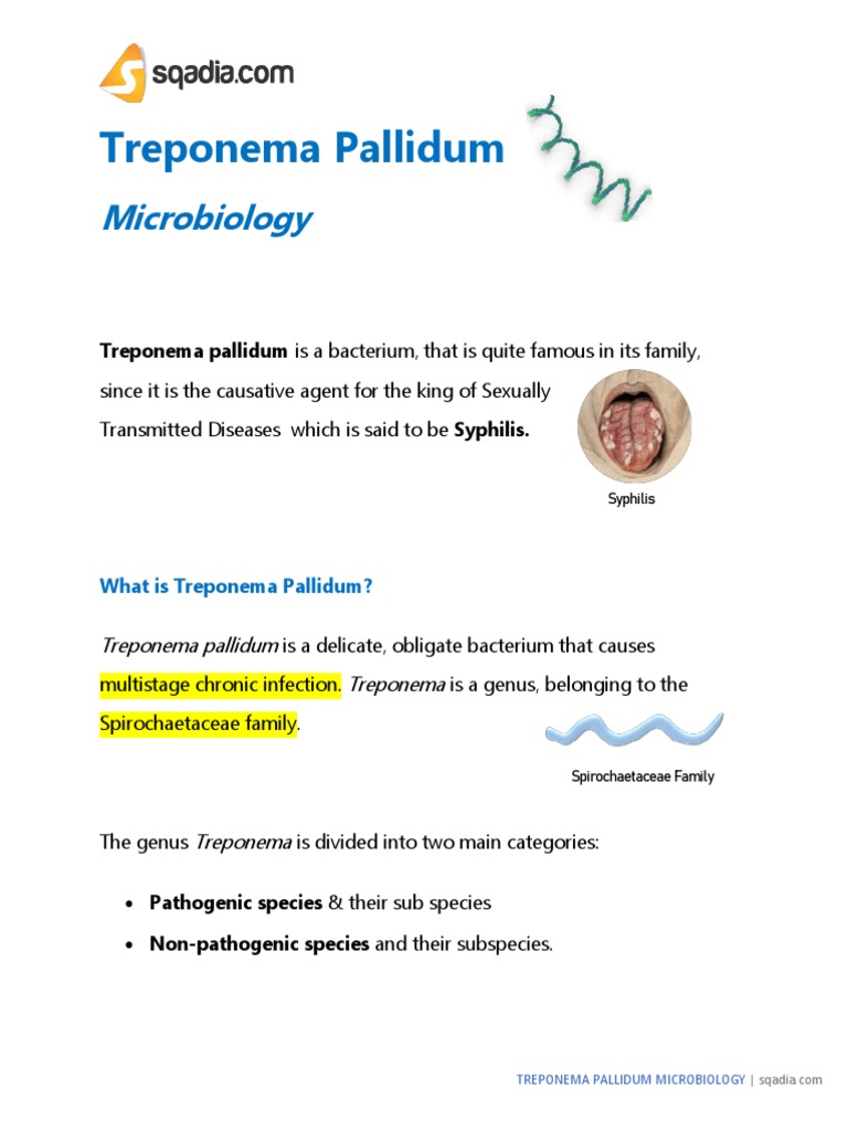Treponema Pallidum: Microbiology | PDF | Causes Of Death | Microorganism