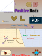 Gram Positive