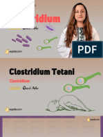 Clostridium