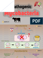 Pathogenic: Mycobacteria