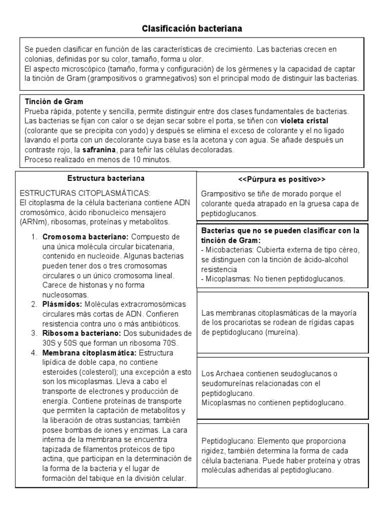 Clasificación Bacteriana | PDF | Las bacterias | Bacterias Gram Positivas