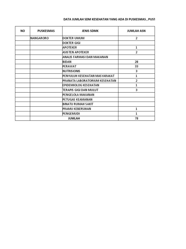 Data Jumlah SDM Uptd Puskesmas Nangaroro 2022 | PDF