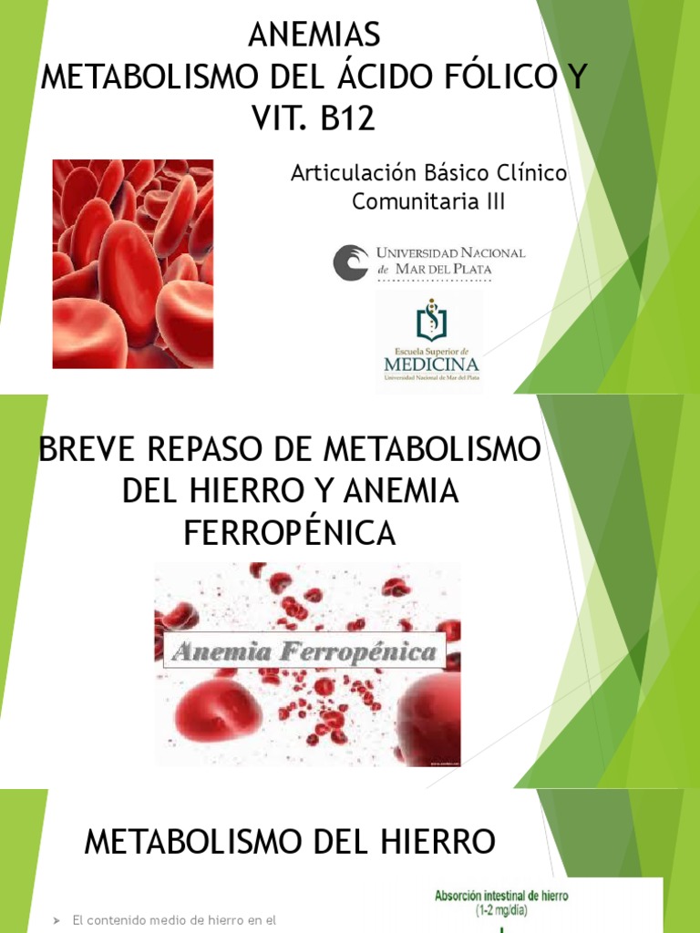 Anemias Metabolismo Del Ácido Fólico Y VIT. B12 Articulación Básico