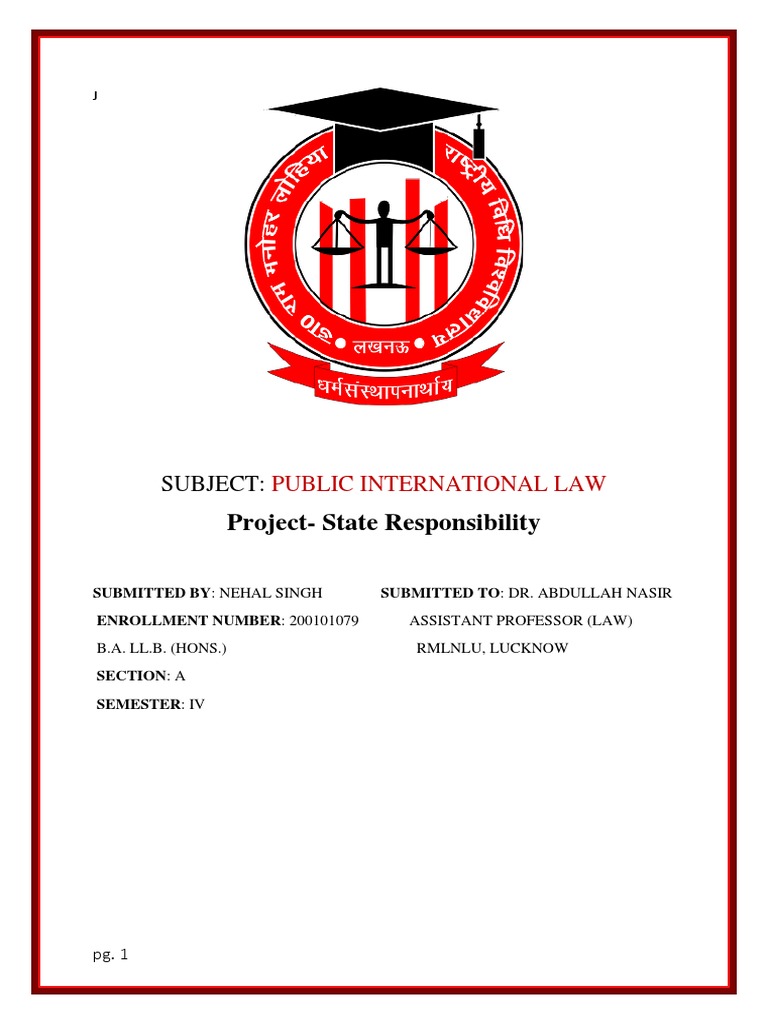 State Responsibility in International Law | PDF | Restitution ...