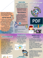 Metabolismo Celular