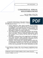 Diseases of the Spine: Congenital Spinal Malformations
