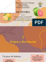 Guayaba: Origen, distribución y producción en México