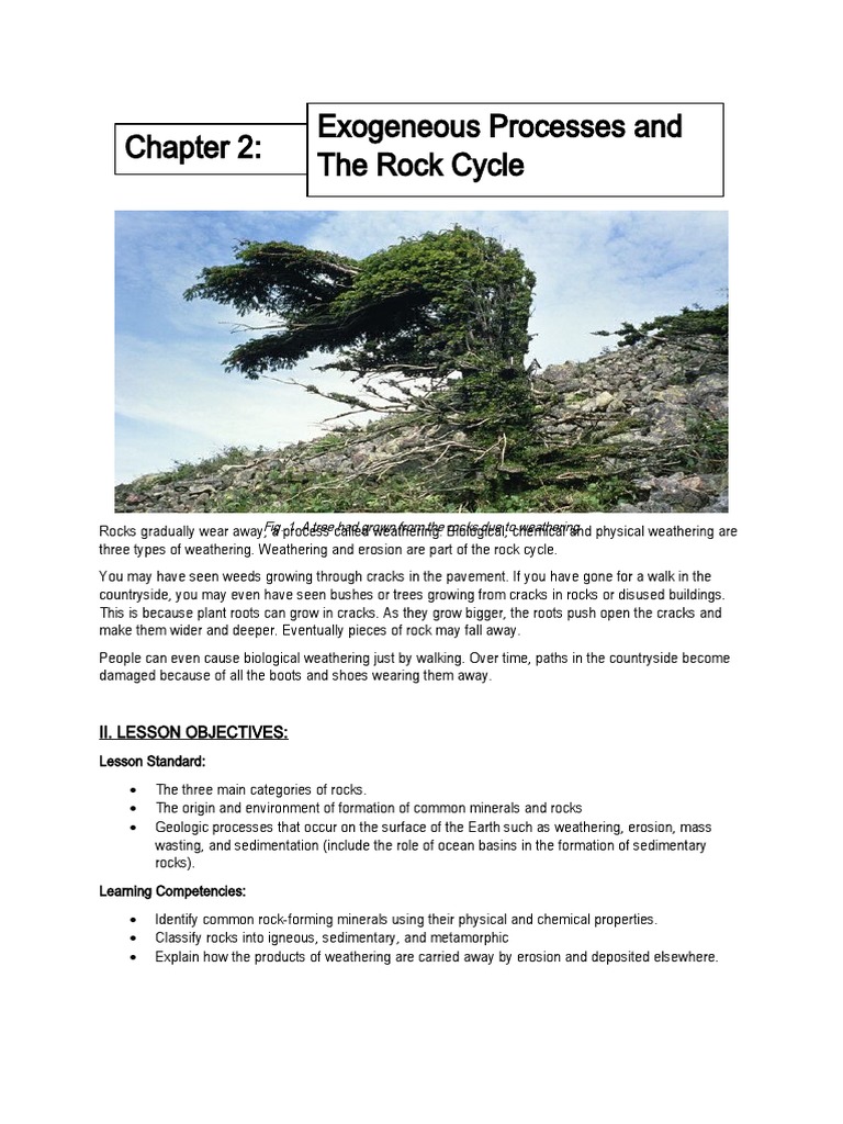 Earth-and-Life-Science-Module 2 | Download Free PDF | Rock (Geology ...