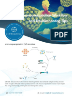 Immunoprecipitation Workflow and Troubleshooting Tips