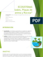 ECOSISTEMA Playas de Arena y Rocosa, Matorrales