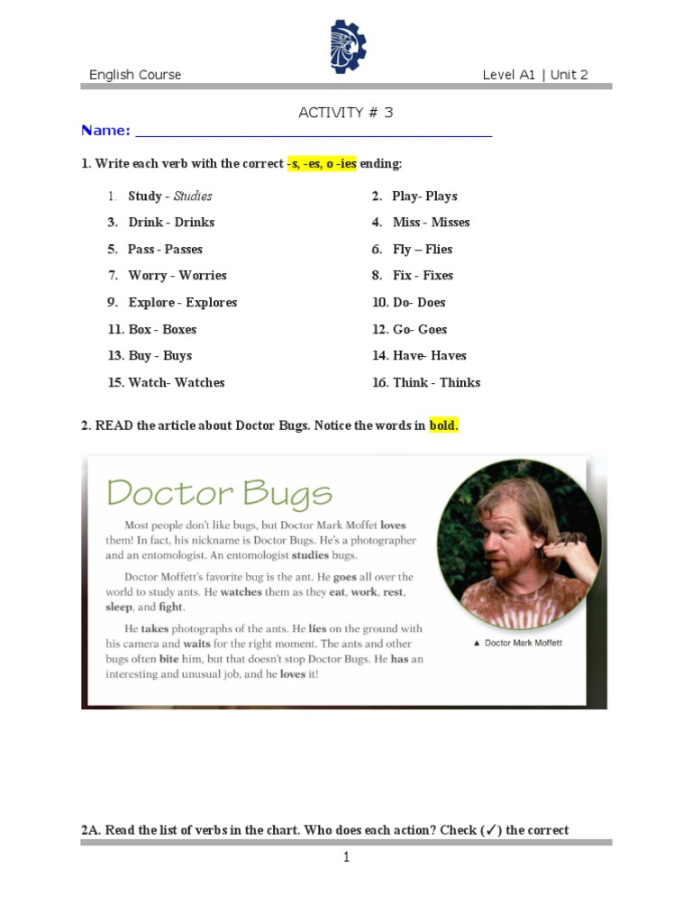 English Course Level A1 Verb Forms | PDF