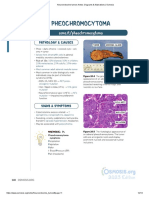 Neuroendocrine Tumor Diagrams and Illustrations