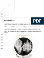 Cell Structure: The Big Picture