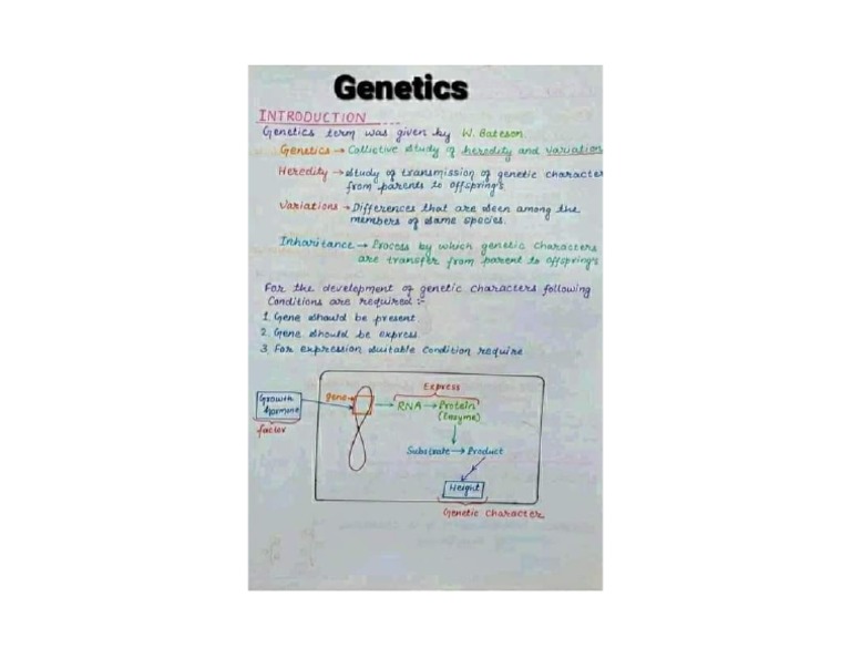 genetics essay summary