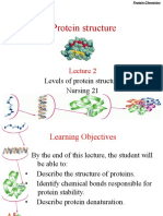 L2 Amino Acids, Protein Structure Nursing 2021-3