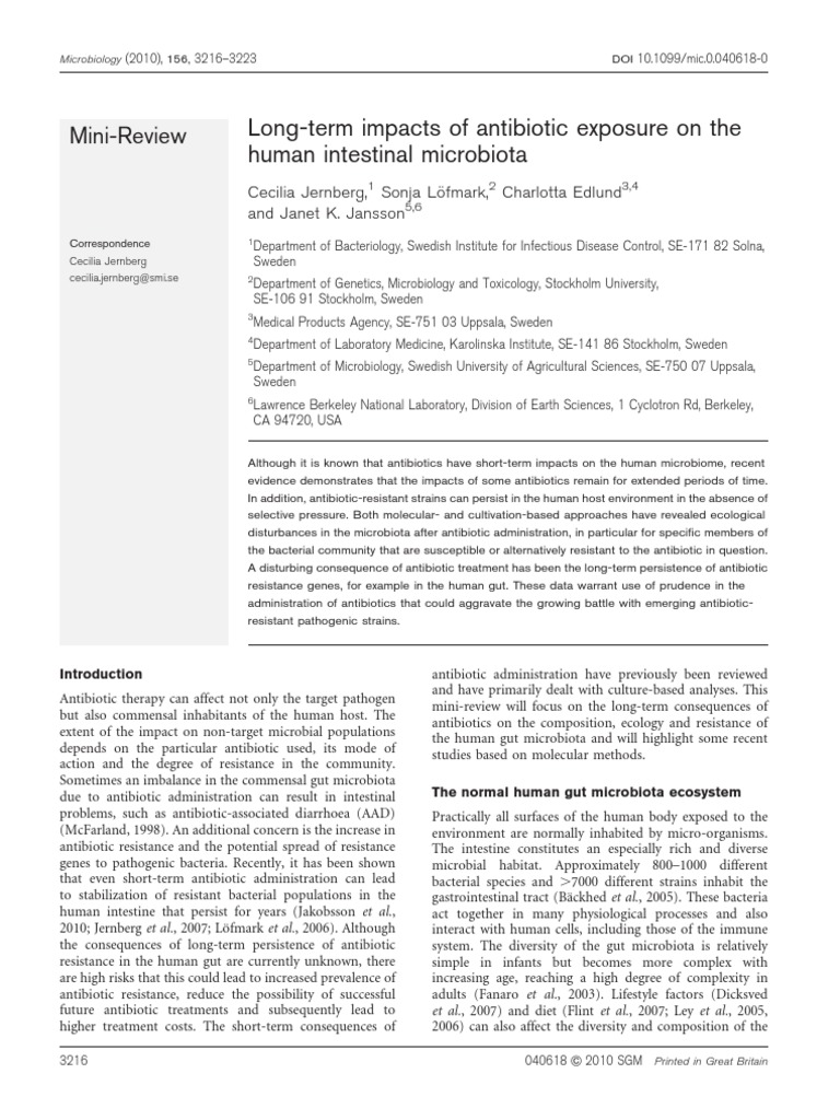 Long-Term Impacts of Antibiotic Exposure On The Human Intestinal ...