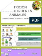 Nutricion Heterotrofa en Animales: Docente: Diana Carolina Villamizar Yaruro