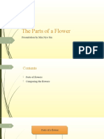 The Parts of A Flower: Presentation by Min Nyo Sin