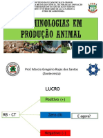 3 - Aula - Terminologias Na Produção Animal