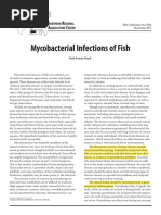 SRAC Publication No. 4706 Mycobacterial Infections of Fish