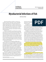 SRAC Publication No. 4706 Mycobacterial Infections of Fish