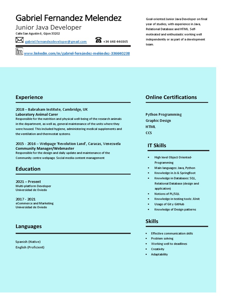 Gabriel Fernandez Junior Java Developer CV May 2022 | PDF | Software ...