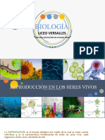 Clase 4 P1 Biologia Reproduccion en Los Seres Vivos