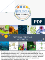 Clase 1 P1 Biologia Division Celular Interfase