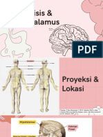 Anatomy of the Hypothalamus & Pituitary Gland