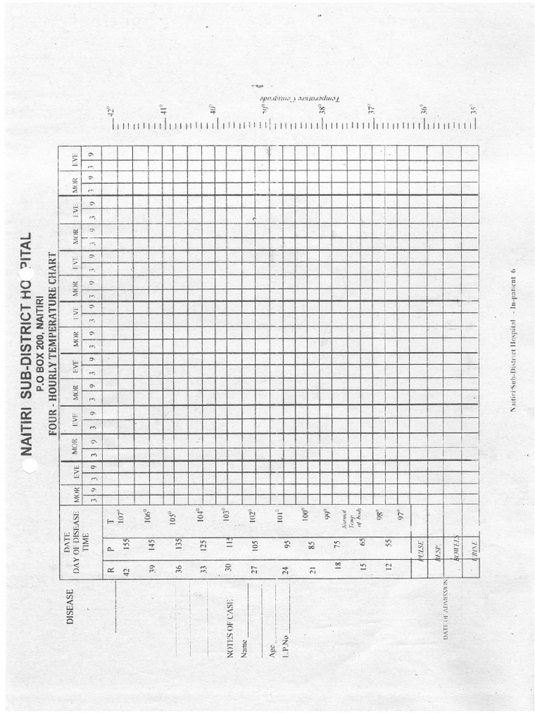 In Patient File | PDF