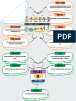 Nivel de Organización de Los Seres Vivos
