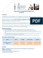 Curso Formulacion y Evaluacion de Proyectos PDF