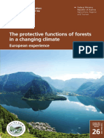 The Protective Functions of Forests in A Changing Climate: European Experience