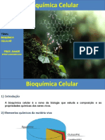 Bioquímica Celular: Composição e Funções