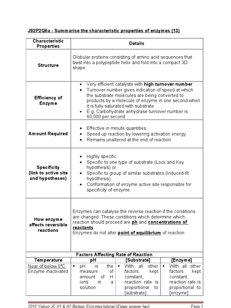 What is the function of enzymes picture